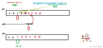 【笔试强训】Day 5