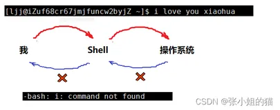 【Linux】Linux权限管理————shell运行原理 | Linux权限管理 | 粘滞位 | 权限掩码umask