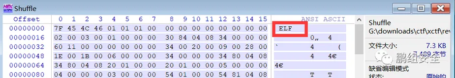 CTF 简单的reverse