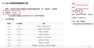 html+css实战32-input基本使用