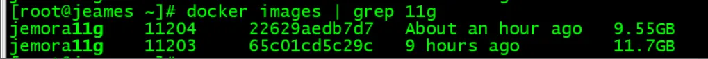 ❤️Docker中只需2步即可拥有Oracle 11G企业版环境,史上最快部署❤️
