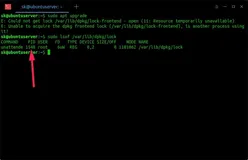 Linux安装软件时90%的人会遇到这个报错，如何解决？
