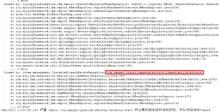 javax.management.InstanceAlreadyExistsException:com.zaxxer.hikari:name=mallDataSource