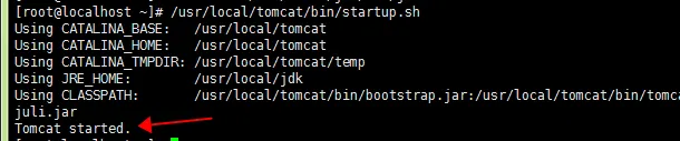VM启动tomcat /usr/local/tomcat/bin/catalina.sh: line 501: /usr/local/jdk/bin/java: Permission denied