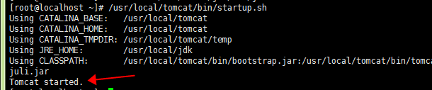 VM启动tomcat /usr/local/tomcat/bin/catalina.sh: line 501: /usr/local/jdk/bin/java: Permission denied