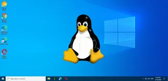 在Linux命令行中进行大小写字符转换