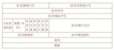 计算机网络-传输层：TCP协议