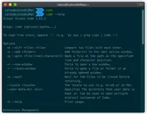 VS Code｜你知道VS Code的命令行操作吗