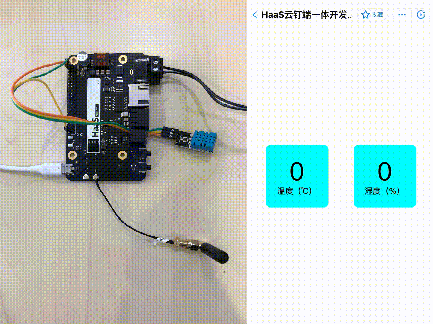 一步步打造能手机远程管理的HaaS花卉养植系统