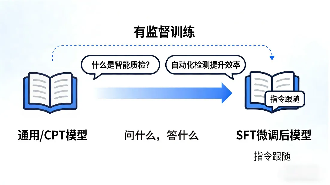 未标题-1_画板 1.jpg