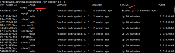 【Docker】解决创建MySQL容器直接就退出
