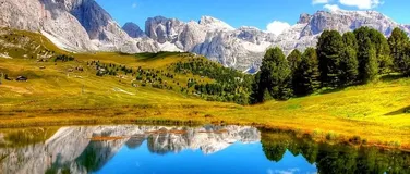 阿里云与Linux基金会发布“云原生人才计划 2.0”，基于开源与云打造培养认证体系