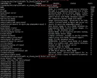 Docker 上安装、启动 MySQL