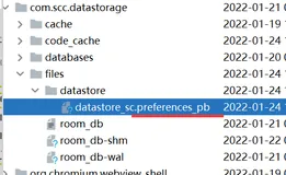 Jetpack DataStore 你总要了解一下吧？