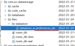 Jetpack DataStore 你总要了解一下吧？