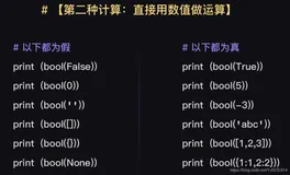 Python中布尔字面量