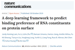 Nat. Commun | 预测RNA-蛋白质结合偏好的深度学习框架