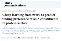Nat. Commun | 预测RNA-蛋白质结合偏好的深度学习框架