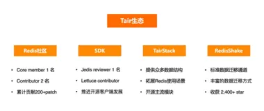 Tair 生态，开源 module的使用 | 学习笔记
