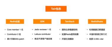 Tair 生态，开源 module的使用 | 学习笔记