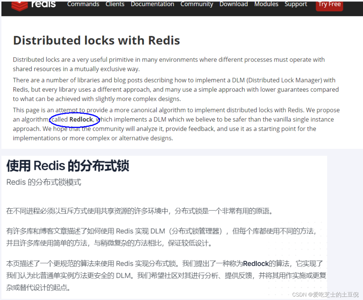Redis系列-11.RedLock算法和底层源码分析
