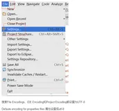 IDEA正确设置编码统一为UTF-8