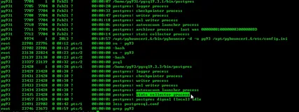 PostgreSQL监控1统计进程和统计信息的解读|学习笔记（一）