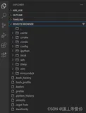 vscode访问和编辑远程服务器文件