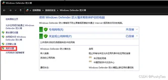 有关Linux虚拟机(在桥接模式下)无法ping通宿主机的解决方式[win11]