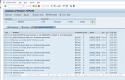 SAP LSMW 事务代码HUPAST的录屏后台执行报错 - Runtime error RAISE_EXCEPTION has occurred - 之分析