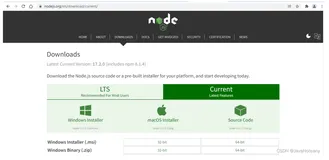 Vue前端开发环境搭建与项目启动运行（以Win10系统为例）
