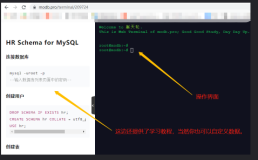 又一个Mysql在线实训平台，没有安装，在线即可学习