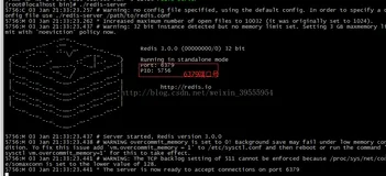 VMware上redis的安装