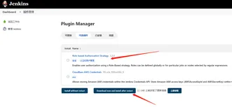 Jenkins 用户角色权限管理