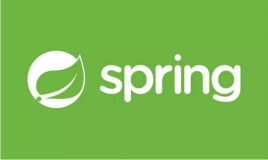 SpringBoot从入门到精通（二十五）搞懂自定义系统配置