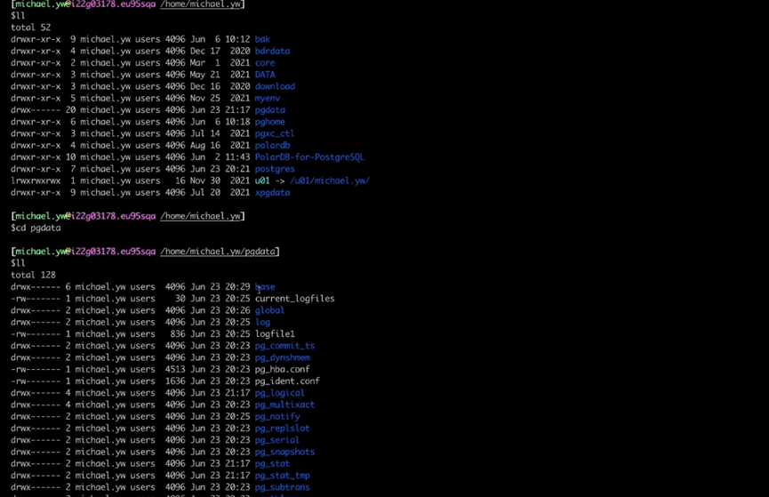 pg-1-postgresql