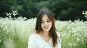 mysql索引（二）索引的数据结构B+TREE