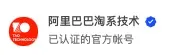 移动端信息无障碍技术方案全解：以手淘为例