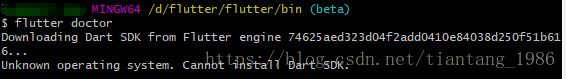 解决windows安装Flutter时出现Unknown operating system. Cannot install Dart SDK.问题