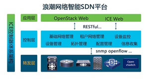 浪潮网络：2019新势力