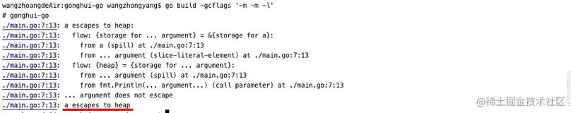 请你详细说说Go的逃逸分析