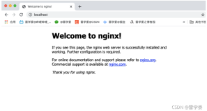 一键安装服务器中的超跑Nginx！让网站性能起飞，不花冤枉钱！