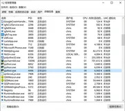 多进程的使用| 学习笔记