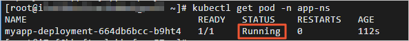使用Kubectl部署web服务到K8s集群