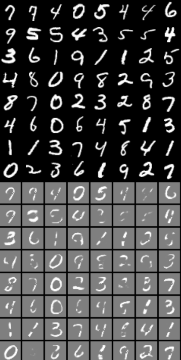 【12】自编码器(Auto-Encoder)的介绍与pytorch实现-阿里云开发者社区