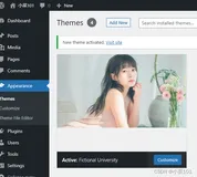 wordpress自定义主题