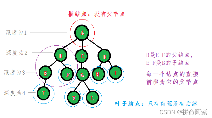 树的概念及结构(一篇足以让你认识树)(1)-阿里云开发者社区