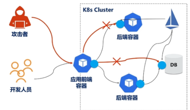 开发者的成长之路：经验分享与技术探索