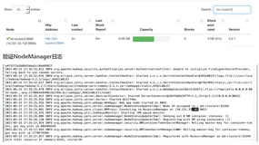 DataNode启动失败问题解决