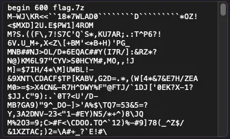 flag1.txt.png flag1.txt.png
